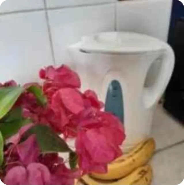 Aparthotel Chez Lilly Oranjestad 0*,