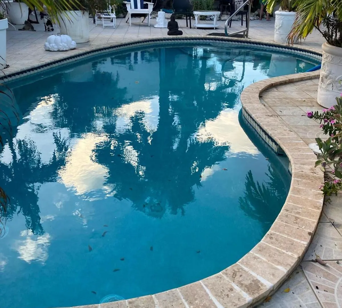 Aparthotel Chez Lilly Oranjestad