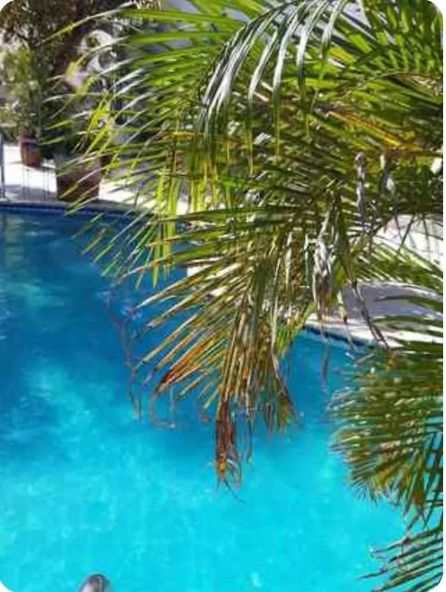 Chez Lilly Aparthotel Oranjestad